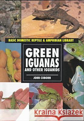 Green Iguanas and Other Iguanids  9780791050781 Chelsea House Publishers - książka