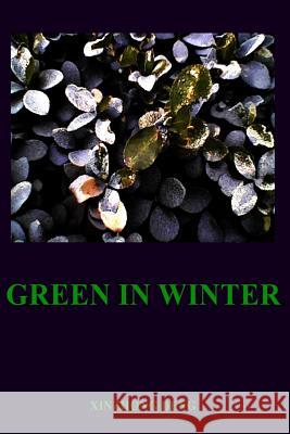 Green In Winter Deng, Xinzhong 9781515342458 Createspace - książka