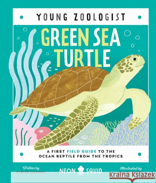 Green Sea Turtle (Young Zoologist): A First Field Guide to the Ocean Reptile from the Tropics Carlee Jackson Daniel Rieley Neon Squid 9781684493081 Neon Squid - książka