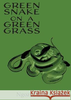 Green Snake on a Green Grass Ngozi Olivia Osuoha 9781950433339 Poetic Justice Books - książka