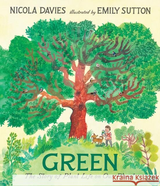 Green: The Story of Plant Life on Our Planet Nicola Davies 9781406399998 Walker Books Ltd - książka