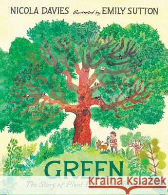 Green: The Story of Plant Life on Our Planet Nicola Davies Emily Sutton 9781536231410 Candlewick Press (MA) - książka