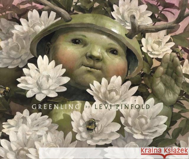 Greenling Levi Pinfold 9781783701872 Templar Publishing - książka