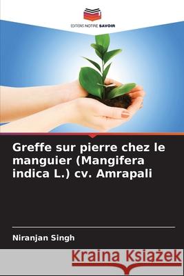 Greffe sur pierre chez le manguier (Mangifera indica L.) cv. Amrapali Singh, Niranjan 9786209315541 Editions Notre Savoir - książka