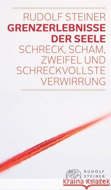 Grenzerlebnisse der Seele : Schreck, Scham, Zweifel und schreckvollste Verwirrung Steiner, Rudolf 9783727454158 Rudolf Steiner Verlag - książka