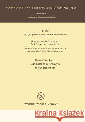 Grenzschichten in Gas-Teilchen-Strömungen Hinter Stoßwellen Sommerfeld, Martin 9783531031712 Vs Verlag Fur Sozialwissenschaften - książka