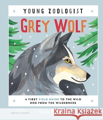 Grey Wolf (Young Zoologist): A First Field Guide to the Wild Dog from the Wilderness Brenna Cassidy 9781838992866 Priddy Books - książka