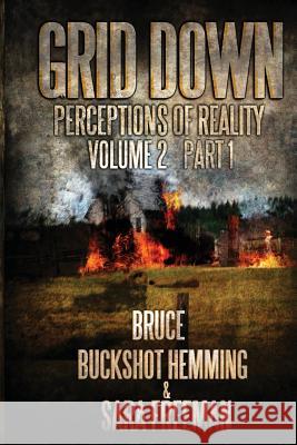 Grid Down Perceptions Of Reality Vol 2 Book 1: Vol 2 Book 1 Freeman, Sara 9781481856683 Createspace - książka