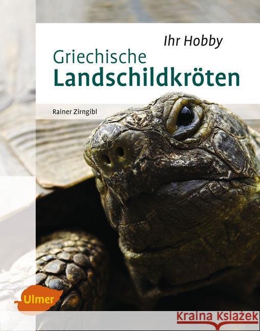 Griechische Landschildkröten Zirngibl, Rainer 9783800103287 Verlag Eugen Ulmer - książka