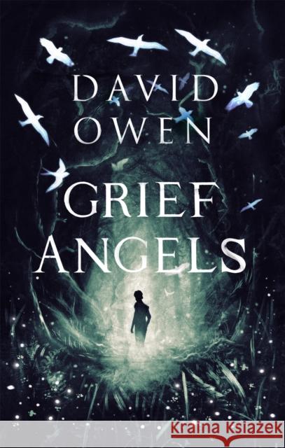 Grief Angels David Owen 9780349003429 Little, Brown Book Group - książka