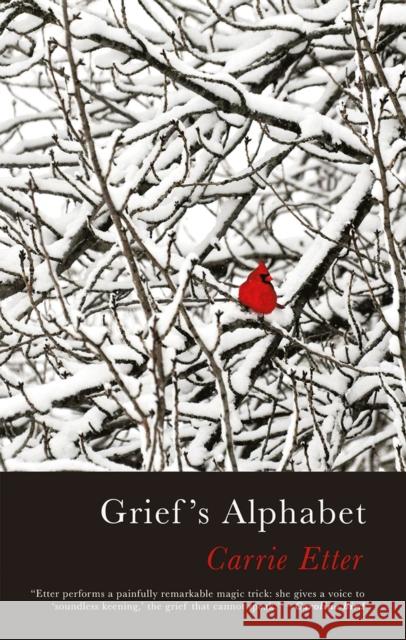 Grief's Alphabet Carrie Etter 9781781727508 Seren Books - książka