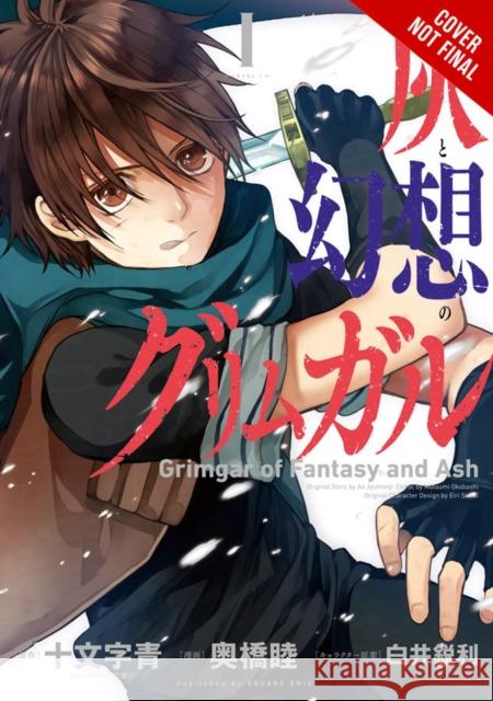 Grimgar of Fantasy and Ash, Vol. 2 (Manga) Ao Jyumonji Mutsumi Okuhashi Overlap 9780316441810 Yen Press - książka