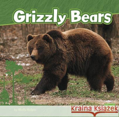 Grizzly Bears Molly Kolpin 9781429661294 Capstone Press - książka