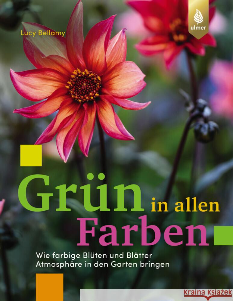 Grün in allen Farben Bellamy, Lucy 9783818627140 Verlag Eugen Ulmer - książka