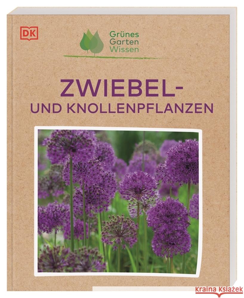 Grünes Gartenwissen. Zwiebel- und Knollenpflanzen Mahon, Stephanie 9783831046256 Dorling Kindersley Verlag - książka