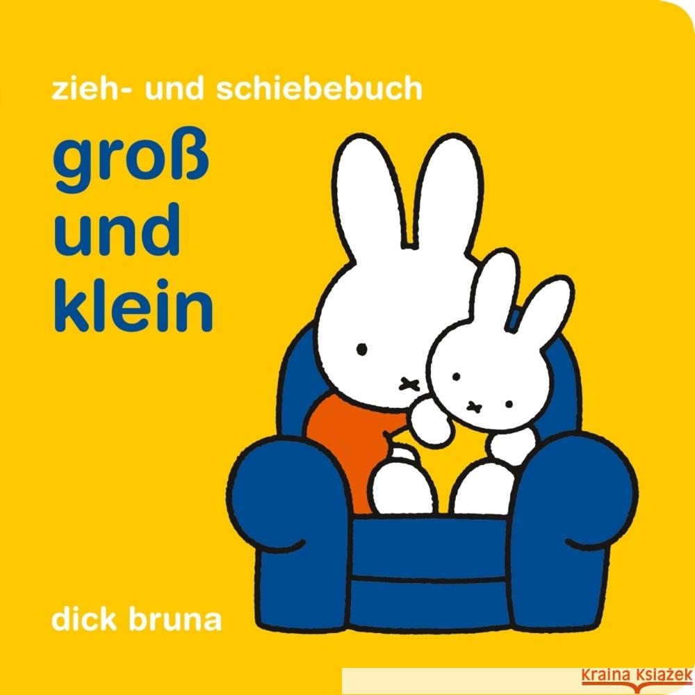 Groß und klein Bruna, Dick 9783257012743 Diogenes - książka