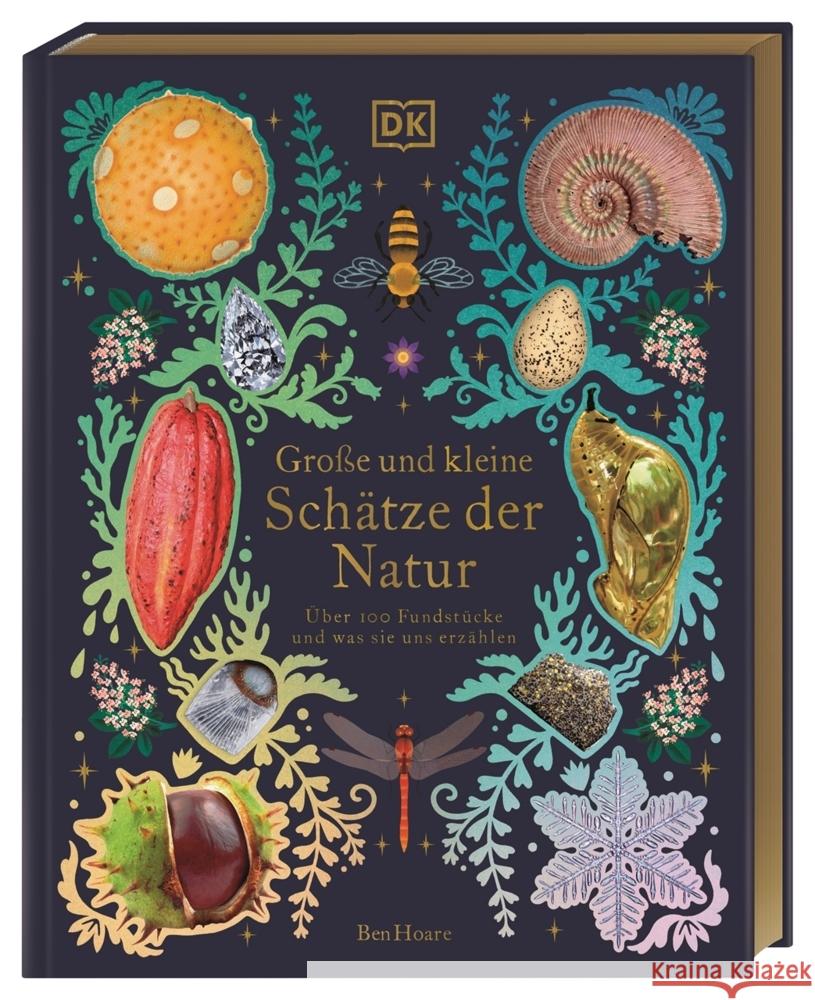 Große und kleine Schätze der Natur Hoare, Ben 9783831044009 Dorling Kindersley Verlag - książka