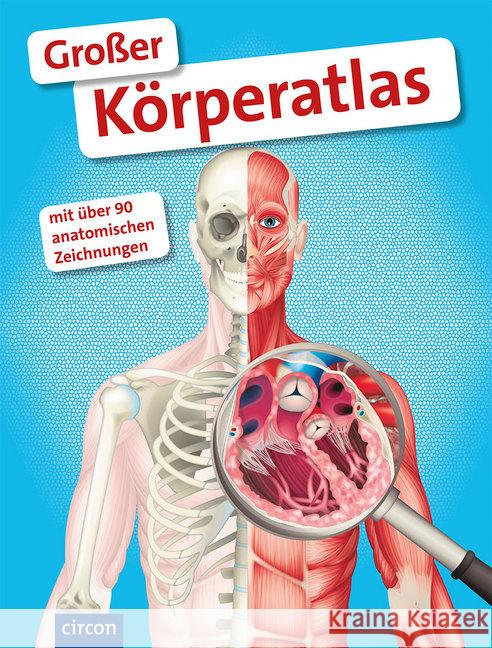 Großer Körperatlas : Mit über 90 anatomischen Zeichnungen Zysk, Stefanie 9783817496495 Compact - książka