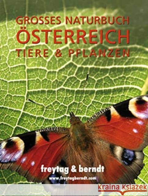 Großes Naturbuch Österreich Tiere & Pflanzen  9783707908961 Freytag-Berndt u. Artaria - książka