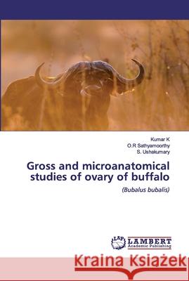 Gross and microanatomical studies of ovary of buffalo K, Kumar 9786200500663 LAP Lambert Academic Publishing - książka