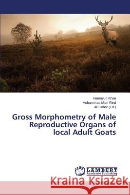 Gross Morphometry of Male Reproductive Organs of local Adult Goats Khan Hamayun 9783659662638 LAP Lambert Academic Publishing - książka