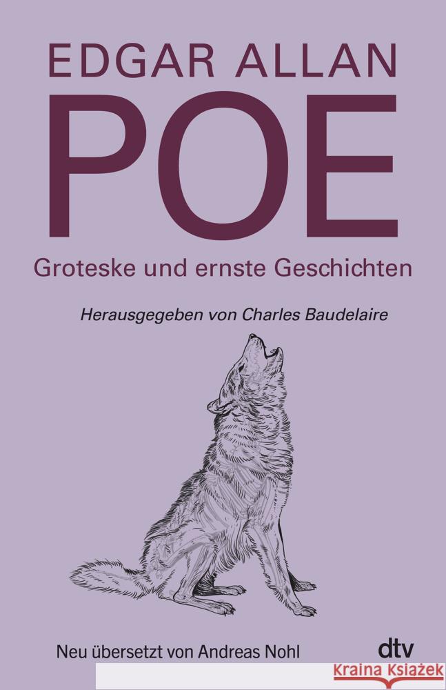 Groteske und ernste Geschichten Poe, Edgar Allan 9783423284875 DTV - książka