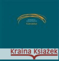 Grotte Petr Borkovec 9788075305114 Malvern - książka