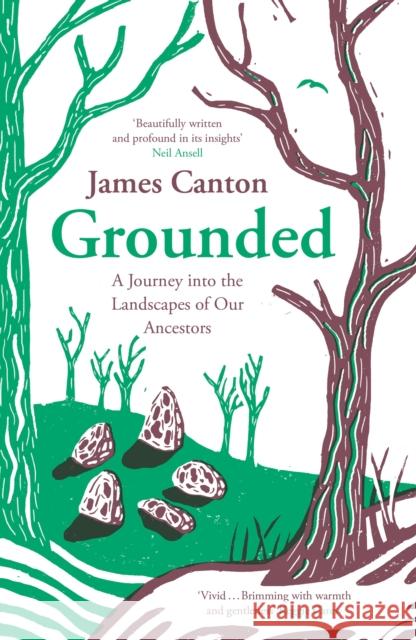 Grounded: A Journey into the Landscapes of Our Ancestors James Canton 9781838855895 Canongate Books - książka