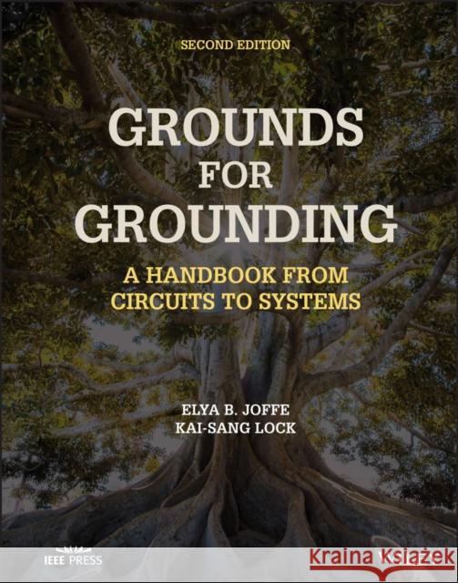 Grounds for Grounding: A Handbook from Circuits to Systems Joffe, Elya B. 9781119770930 John Wiley and Sons Ltd - książka