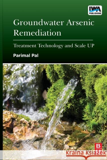 Groundwater Arsenic Remediation: Treatment Technology and Scale Up Parimal Pal 9780128012819 ELSEVIER - książka