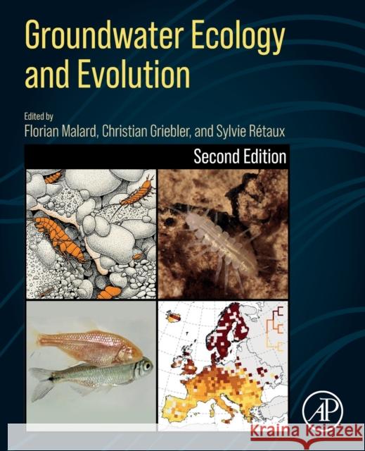 Groundwater Ecology and Evolution Florian Malard Christian Griebler Sylvie Retaux 9780128191194 Elsevier Science Publishing Co Inc - książka
