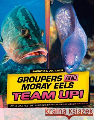 Groupers and Moray Eels Team Up! Gloria Koster 9781669048831 Capstone Press - książka