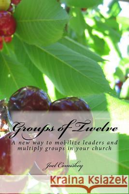 Groups of Twelve: A new way to mobilize leaders and multiply groups in your chur Comiskey, Joel 9781935789765 CCS Publishing - książka