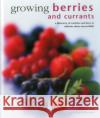 Growing Berries and Currants: A Directory of Varieties and How to Cultivate Them Successfully Kate Whiteman 9780754830955 Anness Publishing