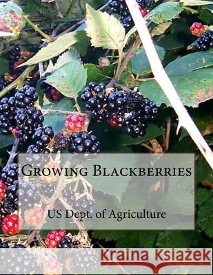 Growing Blackberries Us Dept of Agriculture Roger Chambers 9781987510034 Createspace Independent Publishing Platform - książka