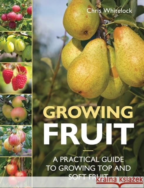 Growing Fruit: A Practical Guide to Growing Top and Soft Fruit Chris Whitelock 9780719845390 The Crowood Press Ltd - książka