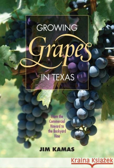 Growing Grapes in Texas: From the Commercial Vineyard to the Backyard Vine Jim Kamas Larry A. Stein 9781623491802 Texas A&M University Press - książka