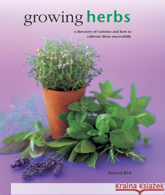 Growing Herbs Bird Richard 9780754830696 LORENZ BOOKS - książka