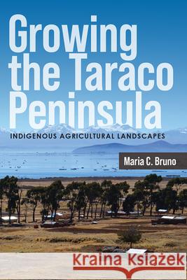 Growing the Taraco Peninsula: Indigenous Agricultural Landscapes Maria C. Bruno 9781646426126 University Press of Colorado - książka