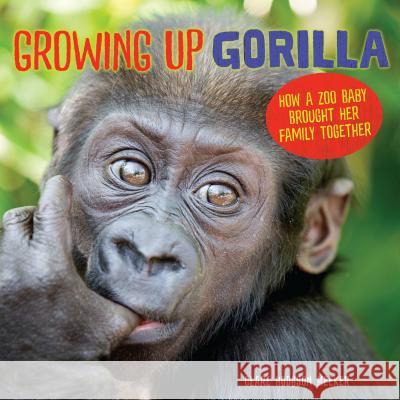 Growing Up Gorilla: How a Zoo Baby Brought Her Family Together Clare Hodgson Meeker 9781541542402 Millbrook Press (Tm) - książka