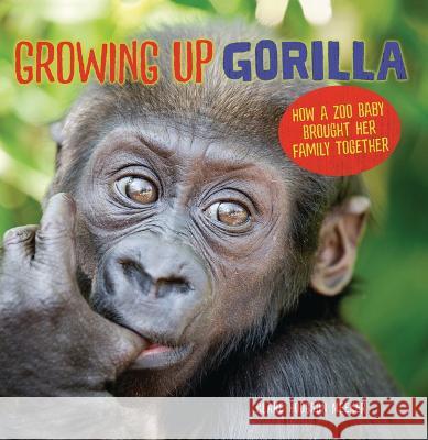 Growing Up Gorilla: How a Zoo Baby Brought Her Family Together Clare Hodgson Meeker 9781728477770 Millbrook Press (Tm) - książka