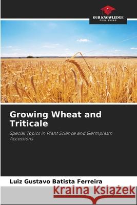 Growing Wheat and Triticale Batista Ferreira, Luiz Gustavo 9786209014574 Our Knowledge Publishing - książka