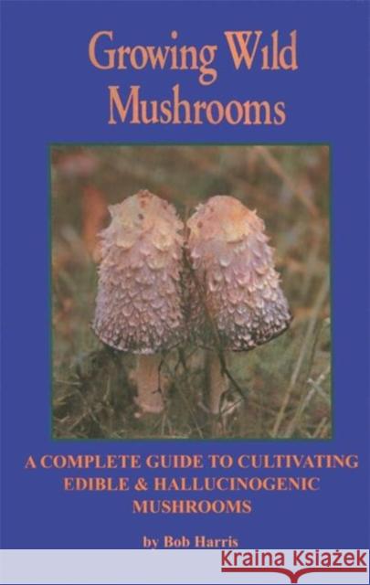 Growing Wild Mushrooms: A Complete Guide to Cultivating Edible and Hallucinogenic Mushrooms Harris, Bob 9781579510664 Ronin Publishing (CA) - książka