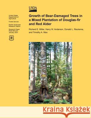 Growth of Bear-Damaged Trees in a Mixed Plantation of Douglas-fir and Red Alder U. S. Department of Agriculture 9781508798217 Createspace - książka