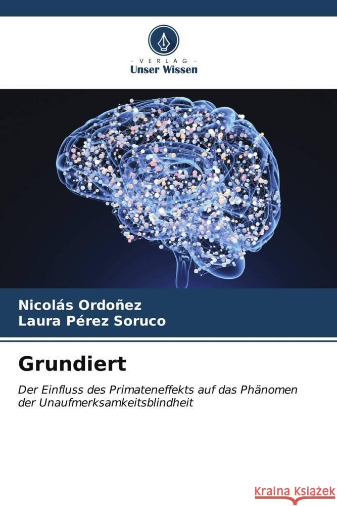 Grundiert Ordoñez, Nicolás, Pérez Soruco, Laura 9786206528159 Verlag Unser Wissen - książka