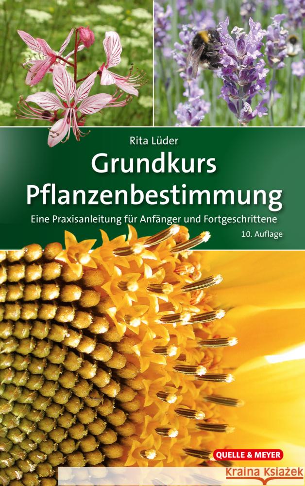 Grundkurs Pflanzenbestimmung Lüder, Rita 9783494019383 Quelle & Meyer - książka