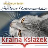 Grundkurs: Tierkommunikation, 2 Audio-CD : Mit Tieren sprechen - so geht's Smith, Penelope 9783939152026 Constans - książka