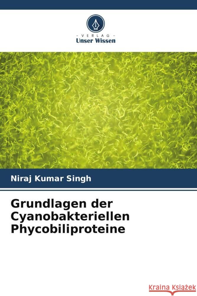 Grundlagen der Cyanobakteriellen Phycobiliproteine Niraj Kumar Singh 9786206667650 Verlag Unser Wissen - książka