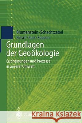 Grundlagen Der Geoökologie: Erscheinungen Und Prozesse in Unserer Umwelt Blumenstein, Oswald 9783540652809 Springer - książka