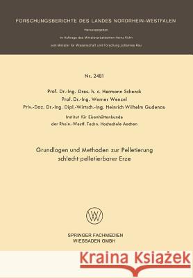 Grundlagen Und Methoden Zur Pelletierung Schlecht Pelletierbarer Erze Hermann Schenck Werner Wenzel 9783531024813 Vs Verlag Fur Sozialwissenschaften - książka